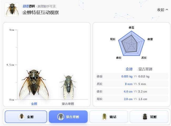 知了和知了猴是不是同一种昆虫 发育阶段不同
