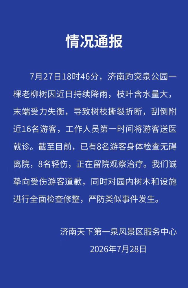 趵突泉一老柳树折断刮倒16名游客