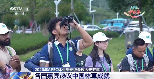 APEC林业部长级会议共绘亚太绿色未来 中国经验引关注
