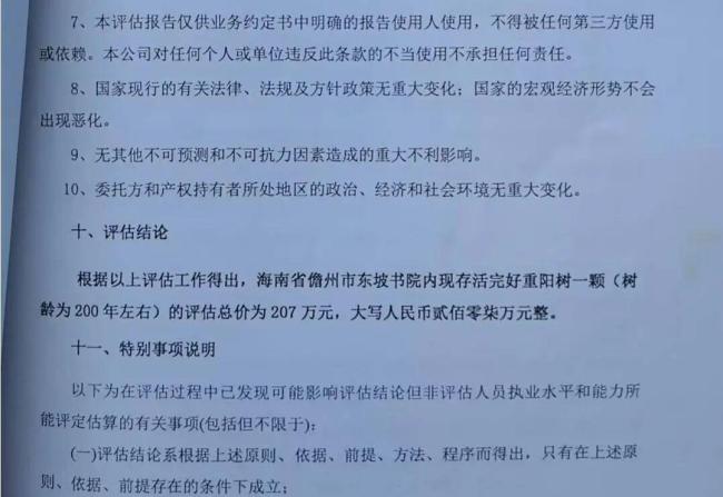 祖辈种的百年古树遭盗挖被扣后转赠 所有权争议持续