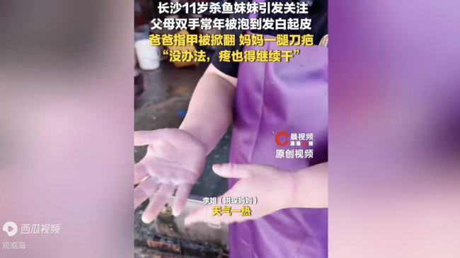 11岁杀鱼女孩父母双手被泡到发白 生活逼着长大