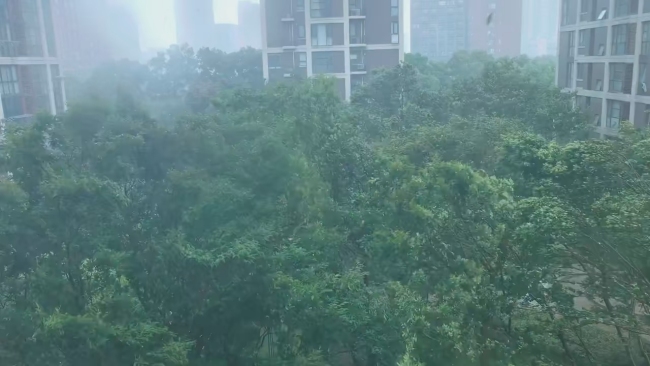 杭州暴雨中出现壮观雨幡
