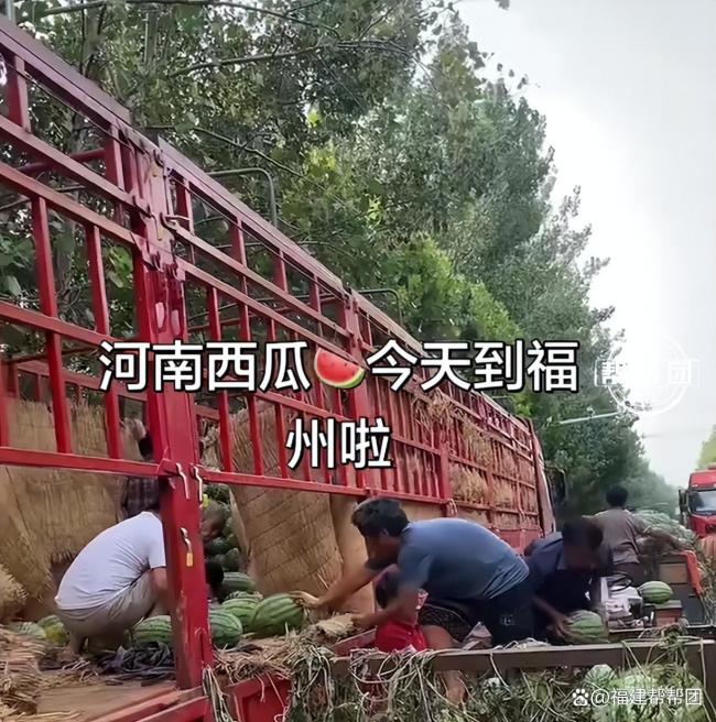 福州小哥摆摊售出62万斤公益西瓜 一人善举温暖全城