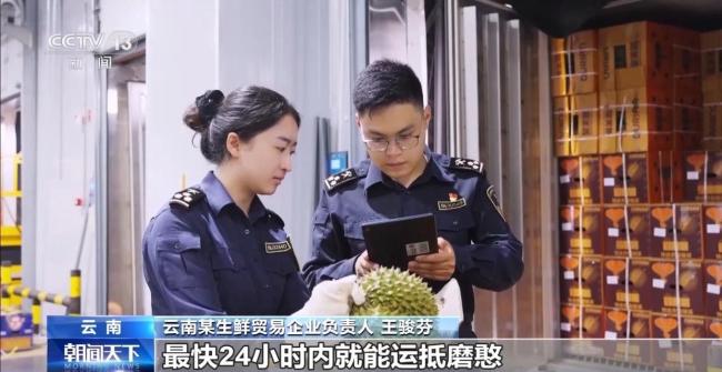 中老铁路助力 云南鲜榴莲进口领跑全国