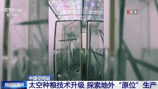 在轨连续培养两代水稻实验进展顺利 太空种粮技术升级