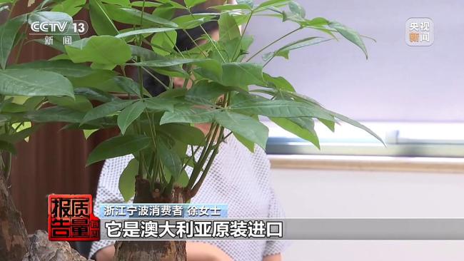 国产食品穿“洋马甲”高价收割 假进口真欺骗