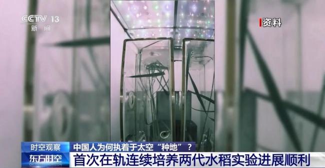 中国人太空种地不断有新进展 首次连续两代水稻培养成功