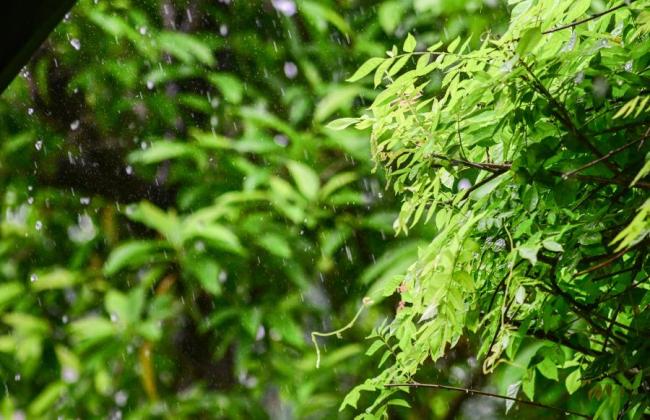 广州雨势将减弱 周四开启暴晒模式 午后仍有雷阵雨