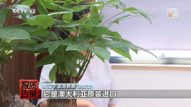 三四十元食品包装成320元进口保健品 假洋牌骗局揭秘