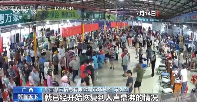 多方合力 广西横州茉莉花产业链灾后突围