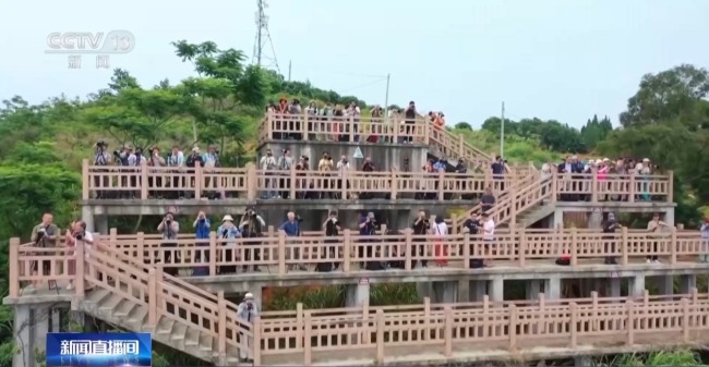 研学体验持续“上新” 各地激活暑期文旅消费