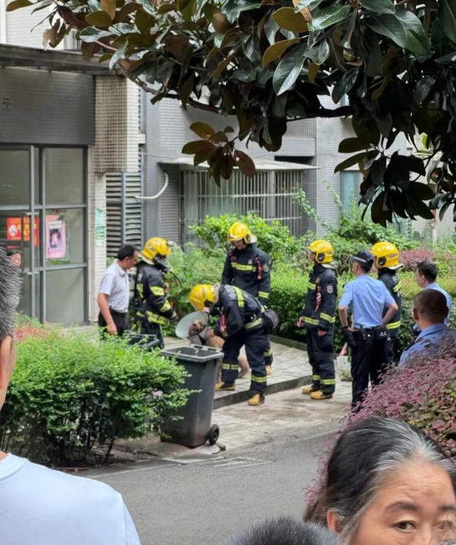 起火后金毛爬窗边吼叫惊动邻居报警