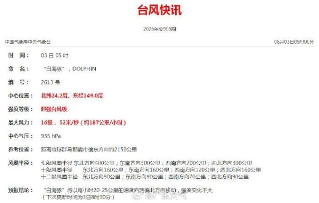 台风白海豚：或吞掉台风鲸鱼引发关注