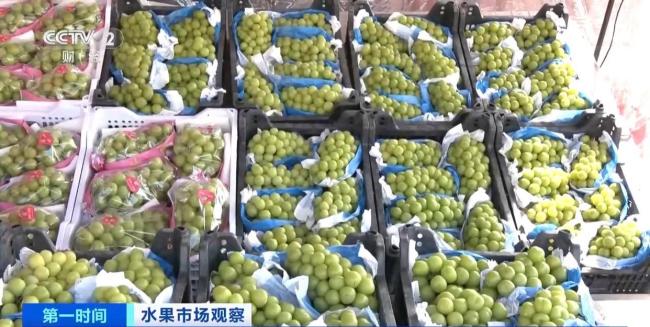 大降价!西瓜鸭梨巨峰葡萄都便宜了 夏季水果供应充足