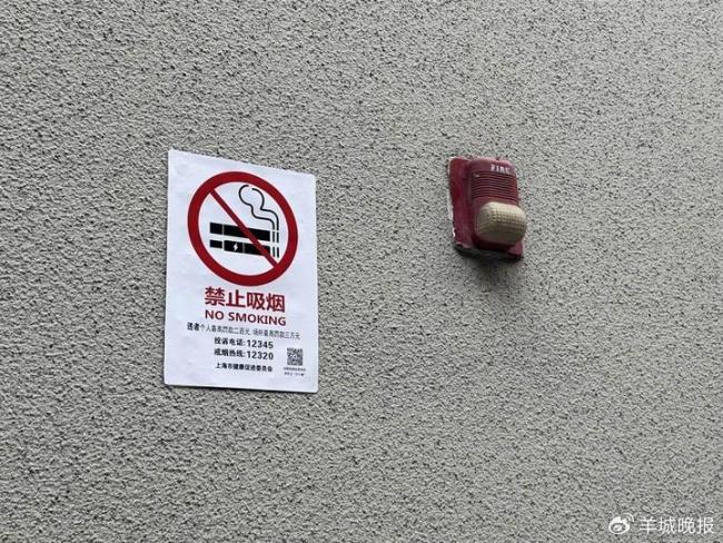 大学校园吸烟已是普遍现象 二手烟困扰学生健康