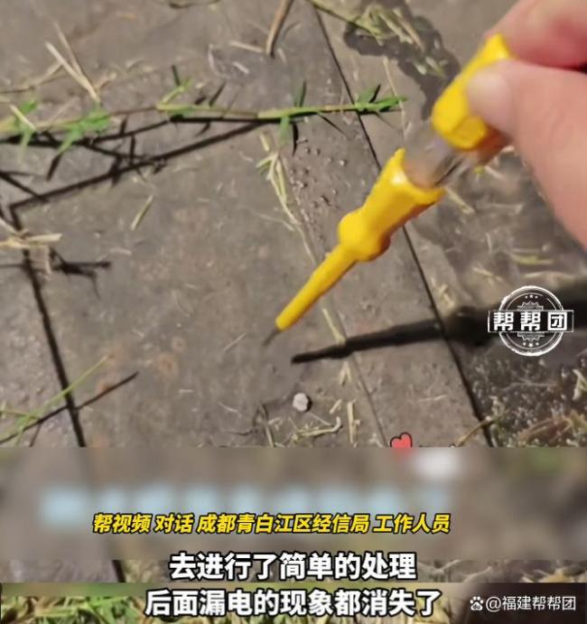 成都一地路面漏电170伏电到宠物狗 相关部门已处理并排查隐患