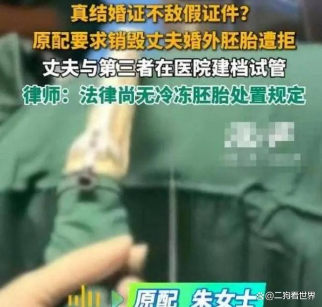 婚外胚胎案医院公示“需结婚证原件” 伪造证件引发伦理争议