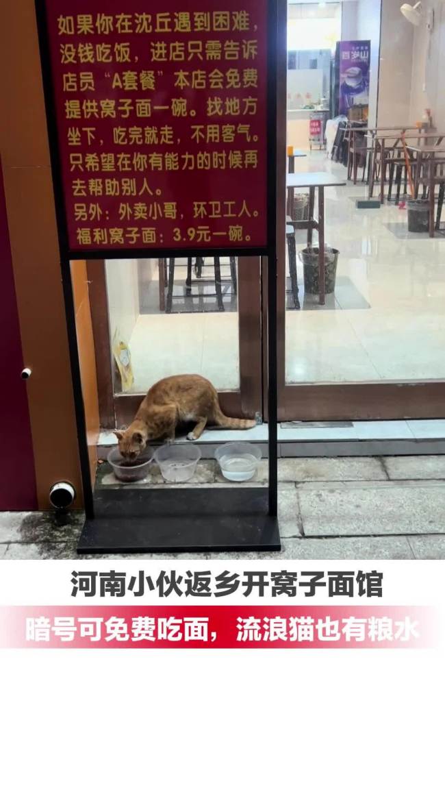 12秒猫咪干饭视频百万播放