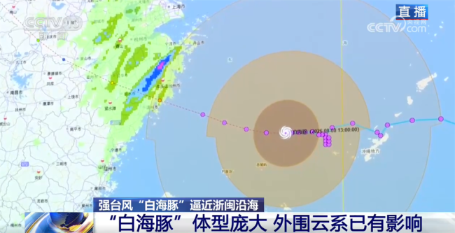 多部门“攥指成拳”部署防范应对“白海豚”登陆