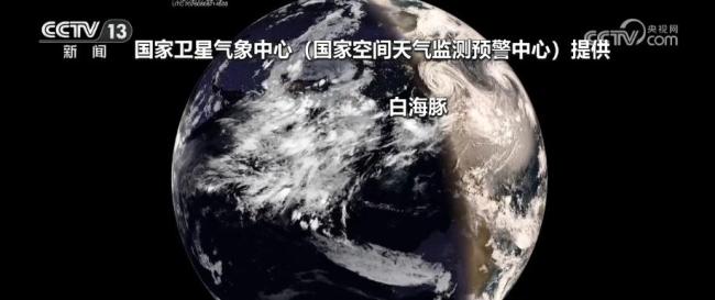 白海豚生命史是普通台风3倍以上