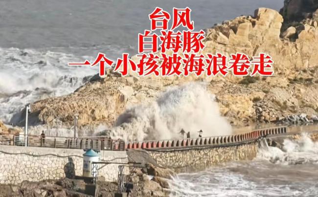 “白海豚”登陆瞬间 台风前夕悲剧发生