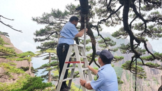 台风天气出行需提前查闭园信息!黄山风景区严防台风 “白海豚”