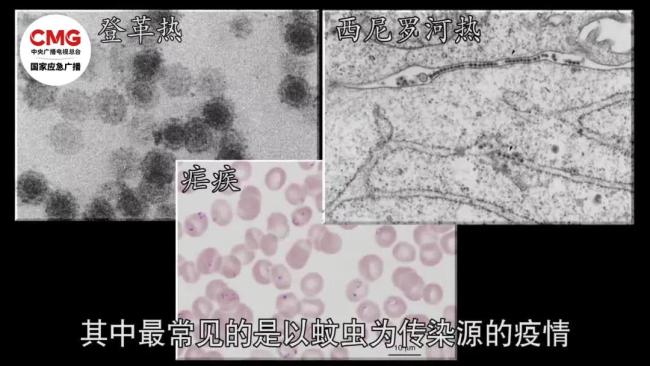 暴雨过后这7类食物一口都别碰 防范“病从口入”