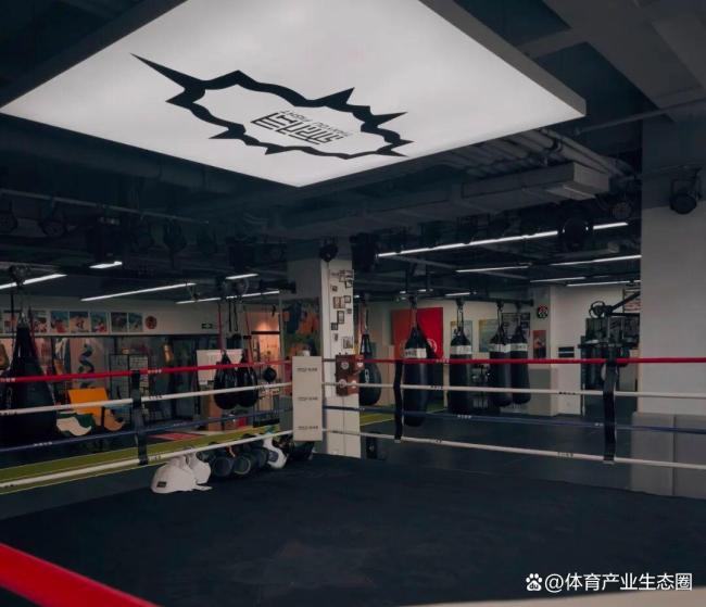 拳击生意盯上中国打工人 白领拳手引领新风尚