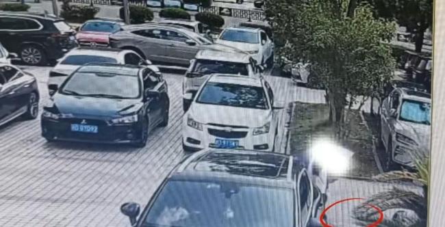 女子在路边捡到20串珍珠报警
