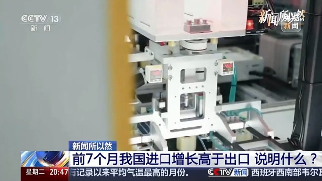 上半年,中国在全球市场上买走了什么?
