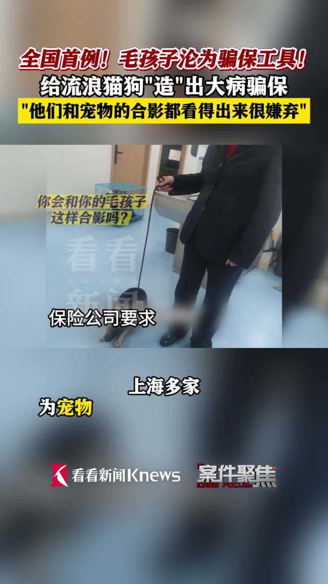 宇宙首例诓骗宠物骗保案告破