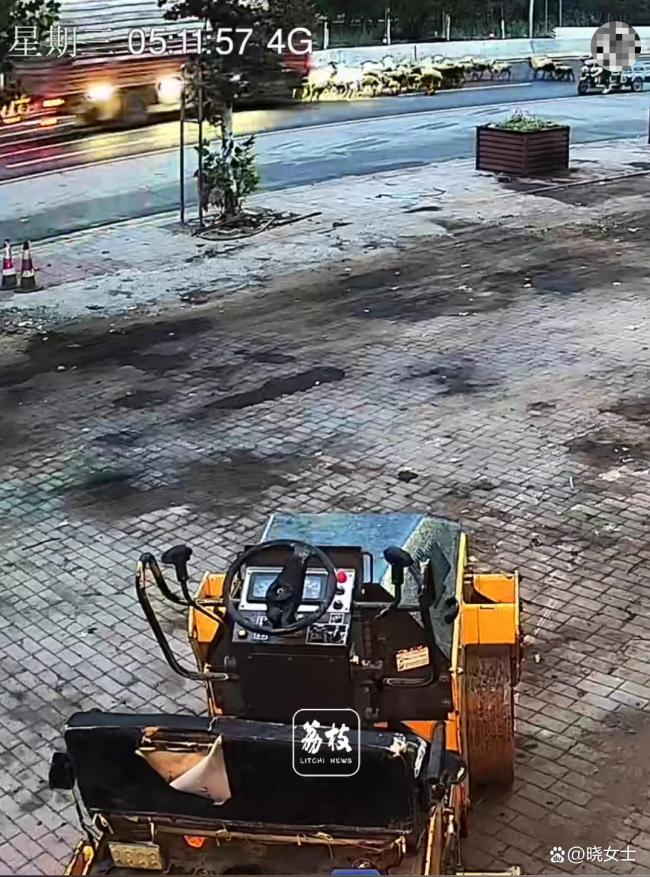 羊群上省道遭货车猛烈撞击 悲剧背后的多重隐患_新闻频道_中华网