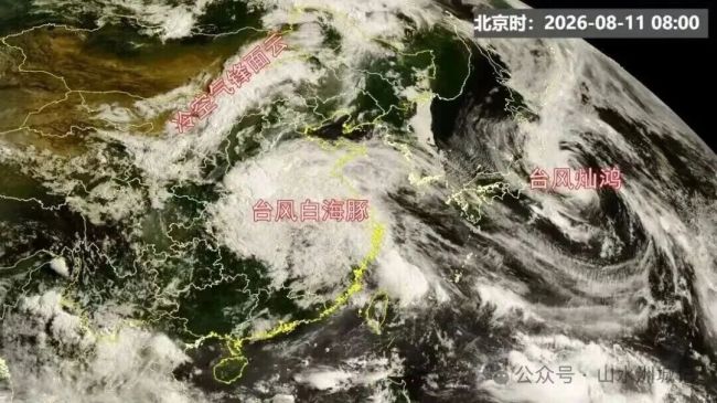 媒体：不怕台风 怕的是“不怕”
