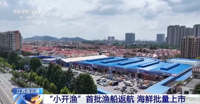 满载归港！看东海休渔制度带来生态改善与丰收