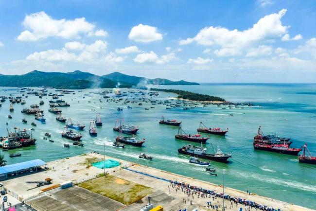 南海开海后第一批海鲜上岸 顺丰全链条物流护航直达餐桌