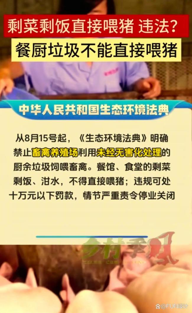 “泔水喂猪”被正式写入禁令 切断非洲猪瘟传播链