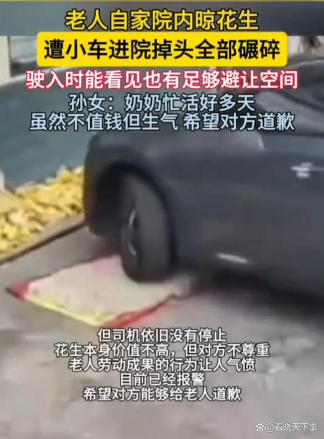 老人院内晾花生遭小车进院全部碾碎 司机应道歉