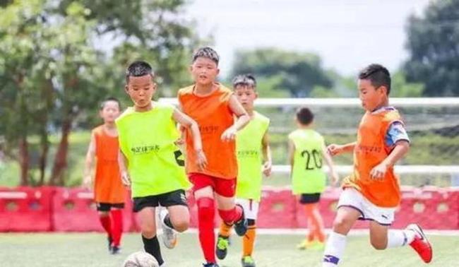 媒体评苏超和中国足球小将“英雄会” 民间青训与城市联赛的首次官方对接