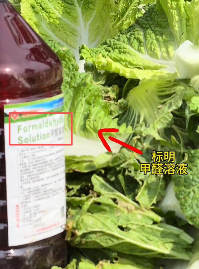 甲醛白菜影响 蔬菜合作社发货量暴跌 订单取消超市下架