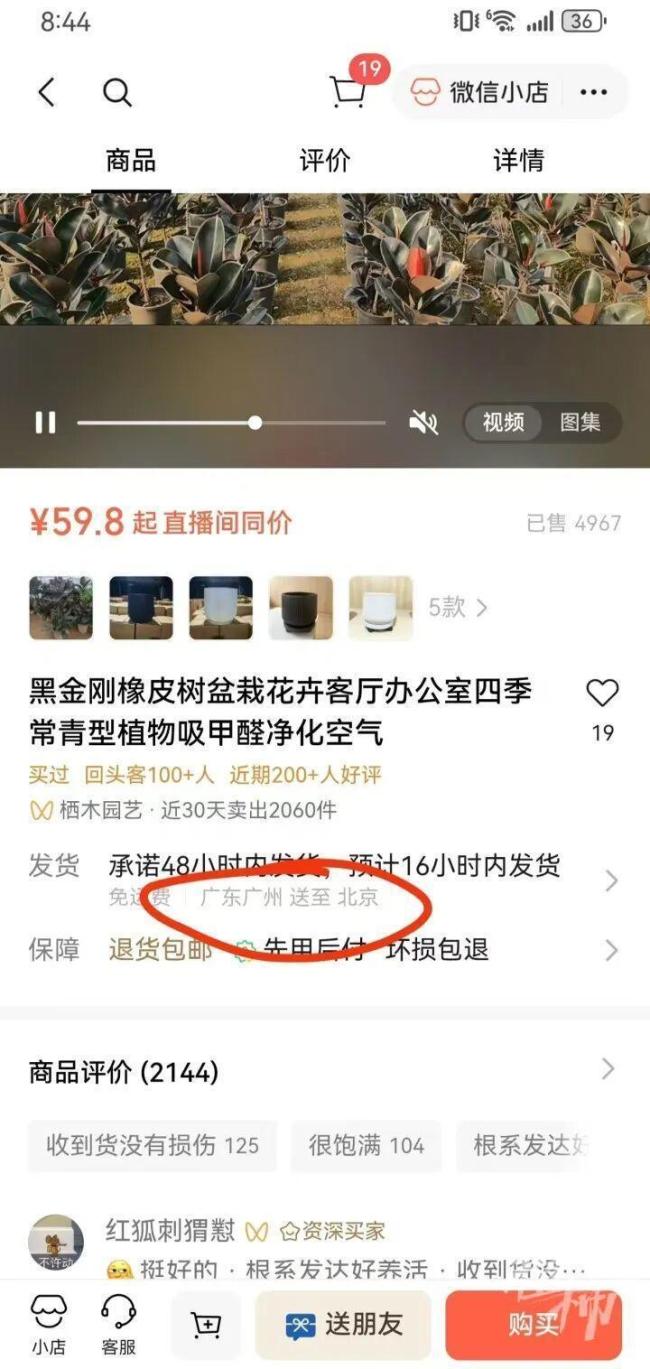 女子网购绿植18天爬出4条蛇 网购风险警示