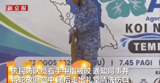 马来西亚民防队员演示控蛇反被咬死 悲剧发生引发关注