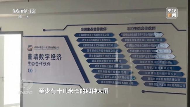 央视曝光政务App让数千万“打水漂” 重复建设引发反思
