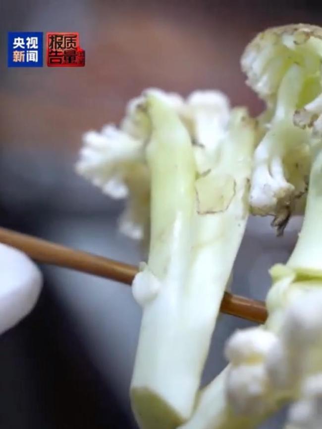 月销两万单烧烤店后厨卫生不达标 食材腐烂飞蛾乱窜