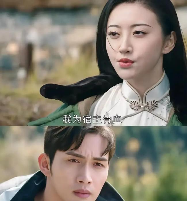 龙骨焚箱是张彬彬唯一待播剧 全网心疼的“最冤男主”