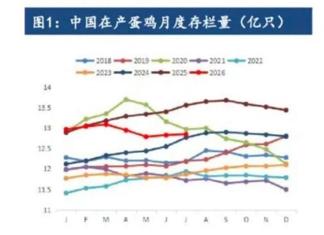 蛋价为何一涨再涨