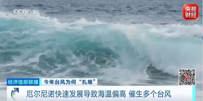 8月已生成10个台风！今年台风为何如此活跃？