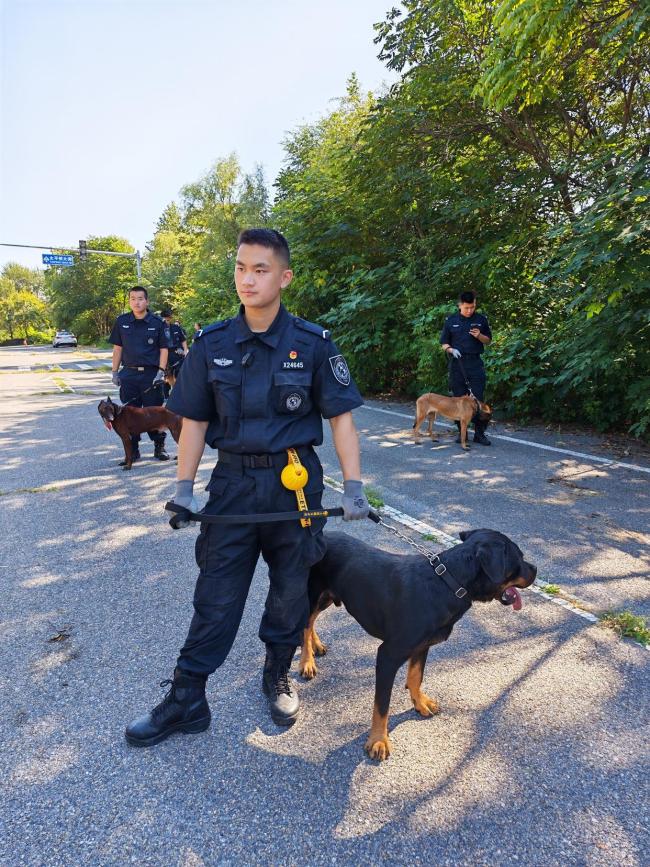 警校大三开学先挑小狗搭子