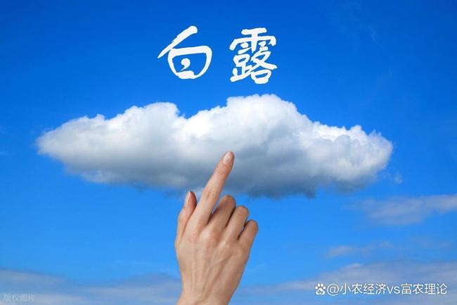 “不怕白露晴，就怕白露雨”