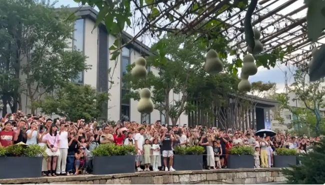 葫芦爷爷称让大家失望有些自责 流量热潮下的无奈抉择
