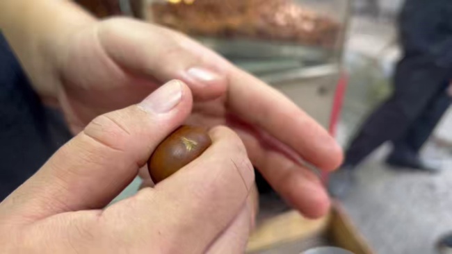 秋天第一锅糖炒栗子上市 白露时节尝鲜正当时
